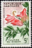 [Flowers, 유형 AO1]