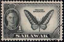 [Local Motifs, type AD]