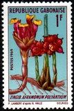 [Flowers, tip HE]