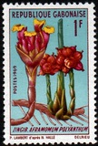 [Flowers, tip HE]