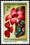 [Flowers, tip HF]