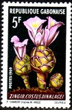 [Flowers, tip HG]