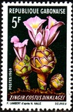[Flowers, tip HG]