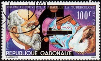 [The 100th Anniversary of Discovery of Tubercle Bacillus, type XI]