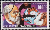 [The 100th Anniversary of Discovery of Tubercle Bacillus, type XI]