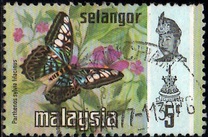 [Butterflies, type AY]
