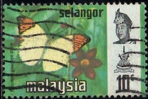 [Butterflies, type BA]