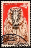 [Animal Masks, type P]
