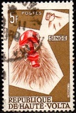 [Animal Masks, type Q]