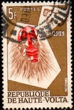[Animal Masks, type Q]