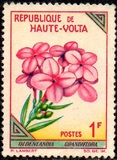 [Flowers, type BA]