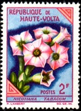 [Flowers, type BC]