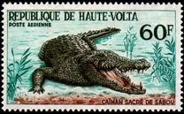 [Airmail - Fauna, tip CU]