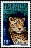 [Fauna, Scrivi DB]