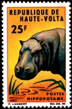 [Fauna, Scrivi DD]