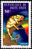 [Animals, type DU]