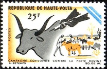 [Prevention of Cattle Plague Campaign, type DV]