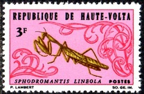 [Animals, type EA]