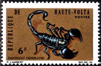 [Animals, type EC]