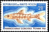[Fish, type GQ]