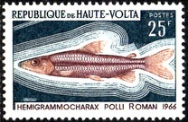 [Fish, type GR]