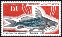[Fish, type GS]