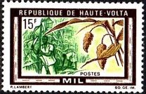 [Agricultural Produce, type GT]