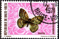 [Butterflies, type IZ]