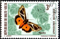 [Butterflies, type JA]