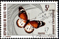 [Butterflies, type JB]