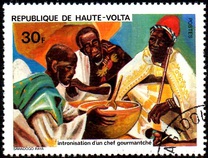 [National History, tegund ZO]