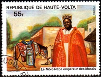 [National History, tegund ZP]
