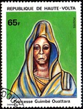 [National History, tegund ZQ]