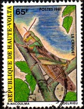 [Insects, type AAG]