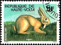 [Animaux domestiques, type ABM]