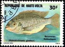 [Fishery Resources, type ADG]