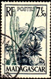 [Plants and Birds, type JF]