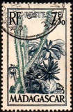 [Plants and Birds, type JF]