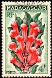 [Flora., tipo JS]