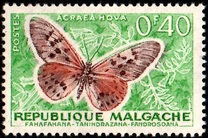 [Butterflies and Agricultural Products, type KB]