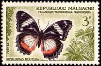 [Butterflies and Agricultural Products, type KE]