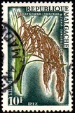 [Butterflies and Agricultural Products, type KI]