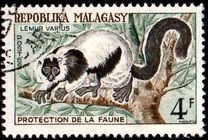 [Protección de la vida salvaje. Lémures., tipo KX]