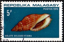 [Marine Snail Housing, प्रकार QN]