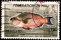 [Fish, प्रकार F]