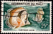 [Fish, प्रकार J]