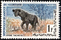 [Animals, タイプ CM]