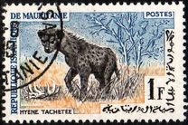 [Animals, タイプ CM]
