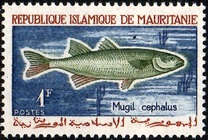 [Fishing, тип DR]