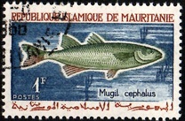 [Fishing, тип DR]